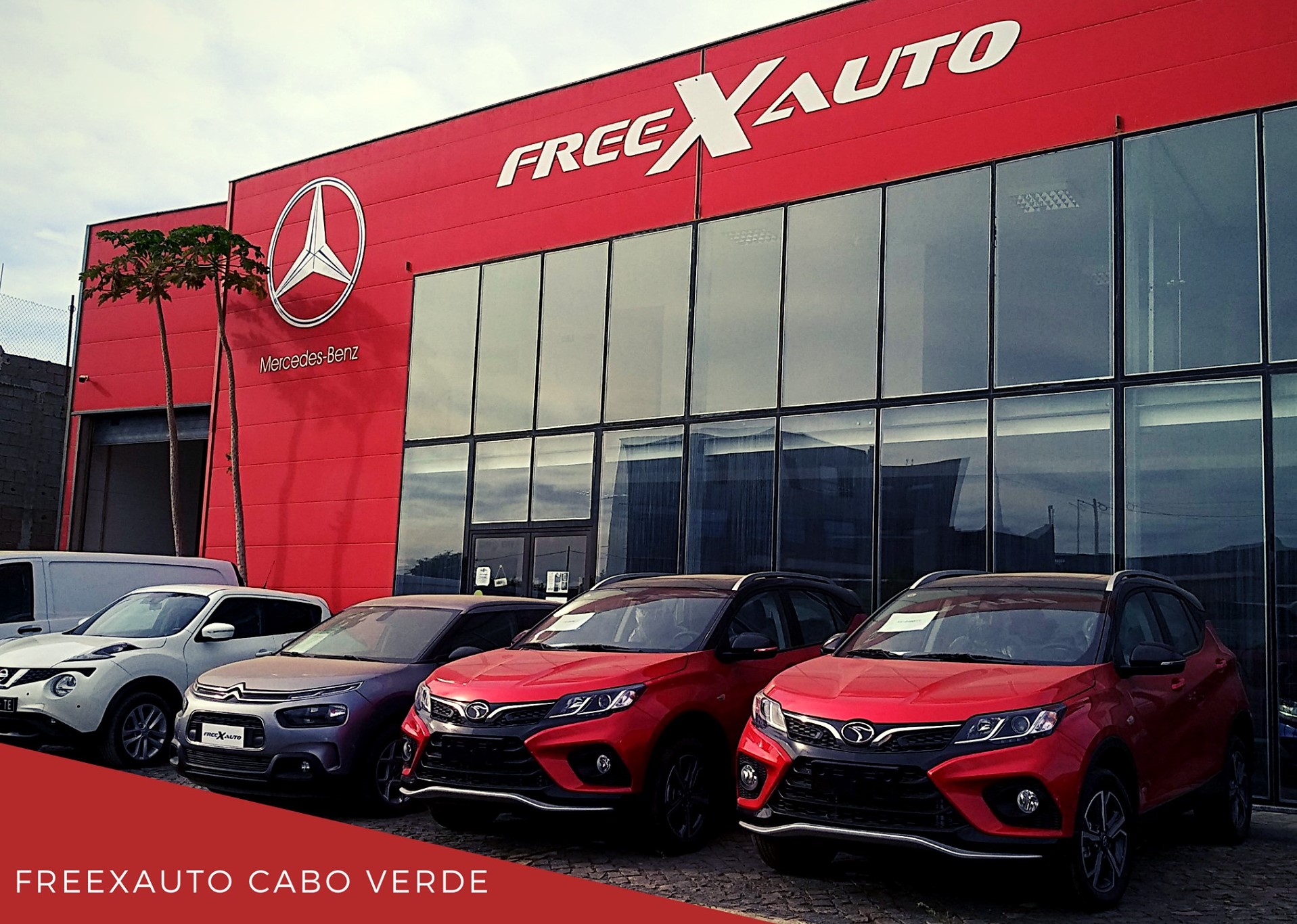 Stand Freexauto